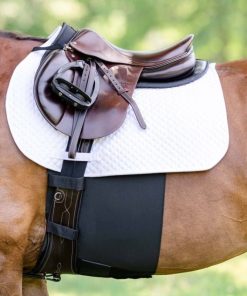 EquiFit BellyBand+