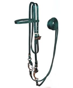 Fabtron Nylon Bridle with Bit
