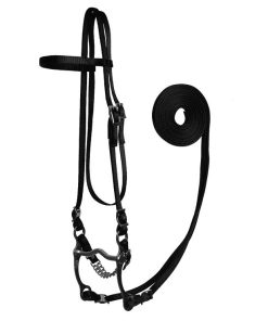 Alternative view of Fabtron Nylon Bridle with Bit