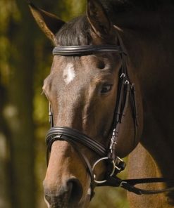HDR Raised Padded Dressage Bridle