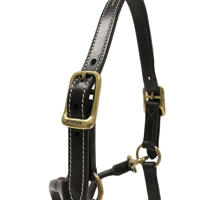Huntley Fancy StitchAdj Leather Halter Pony Havana - Image 3