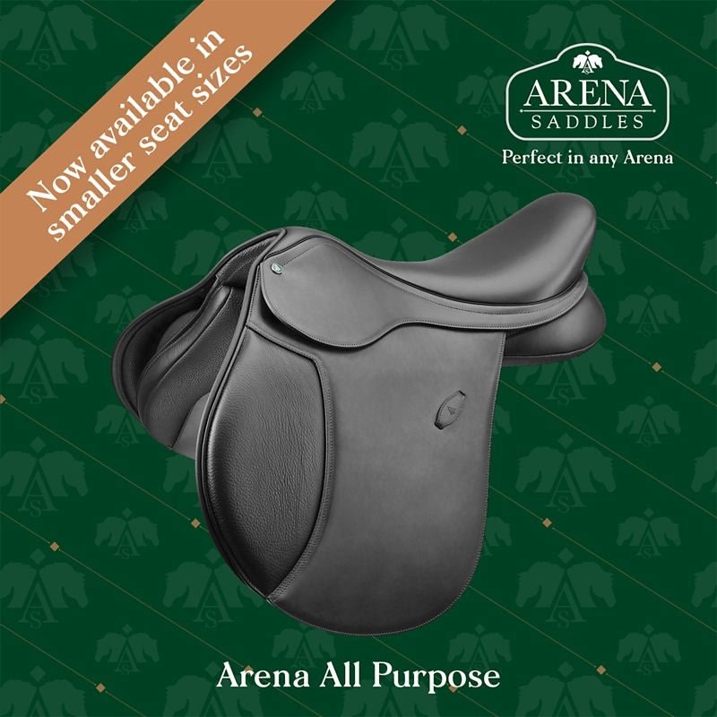 Arena Pony All Purpose Saddle - Image 4