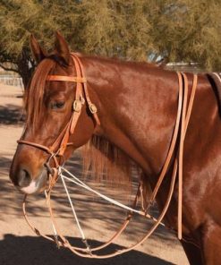 Al Dunning by Pro Choice Martingale with Split Reins