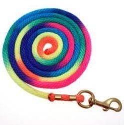 Basic Rainbow Poly Lead Rope with Bolt Snap