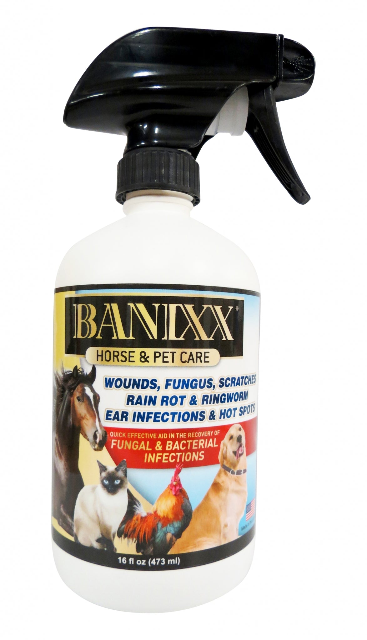 Banixx Horse and Pet Care - Image 2