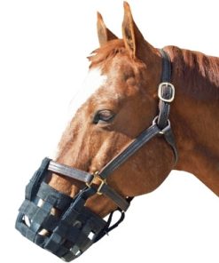 Alternative view of Best Friend Standard Grazing Muzzle