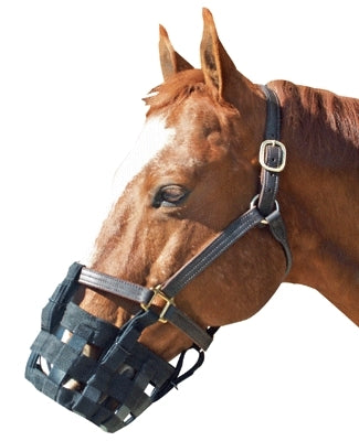 Best Friend Standard Grazing Muzzle - Image 2