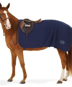 Alternative view of Centaur Turbo Dry Exercise Sheet