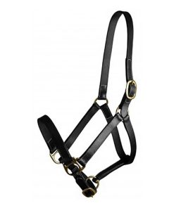 Gatsby Adj Turnout Halter No Snap