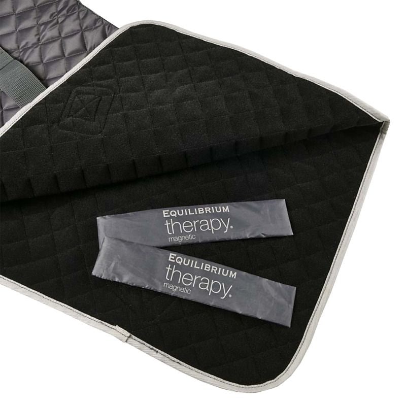 Equilibrium Replacement Magnets for Chaps - Image 3