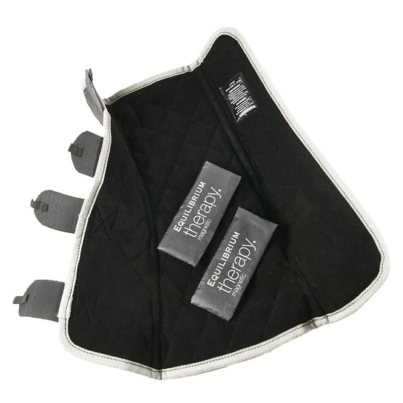 Equilibrium Replacement Magnets for Chaps - Image 4
