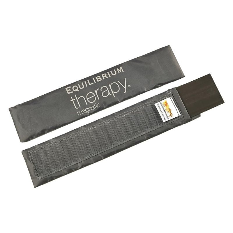Equilibrium Replacement Magnets for Chaps