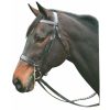 Henri de Rivel Pro Hunt Bridle