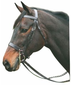 Henri de Rivel Pro Hunt Bridle