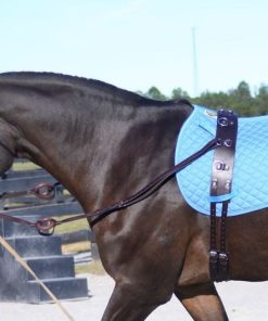 Alternative view of Gatsby All-leather Training Surcingle