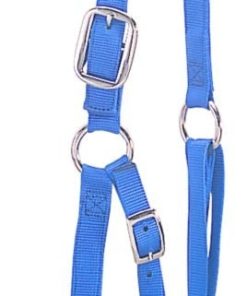 Alternative view of Heavy Duty Restraint Halter