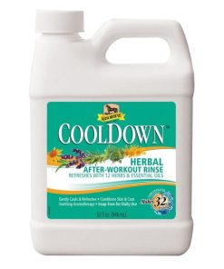 Absorbine CoolDown After-Workout Rinse