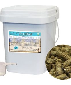 Alternative view of A.B.C.s Fortified Equine Supplement