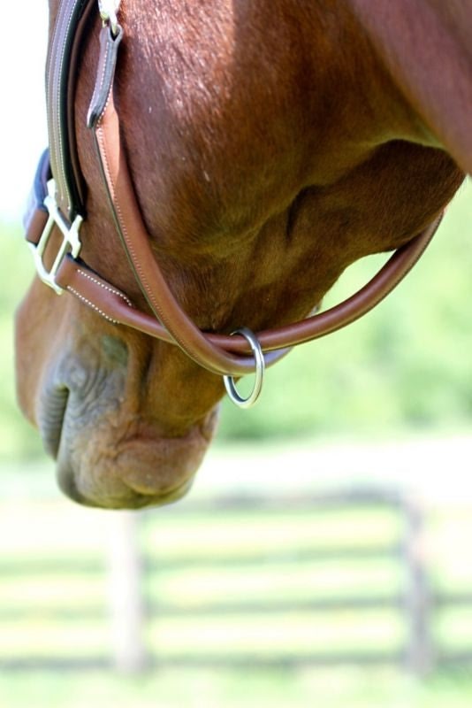 Arc de Triomphe Leather Halter - Image 3