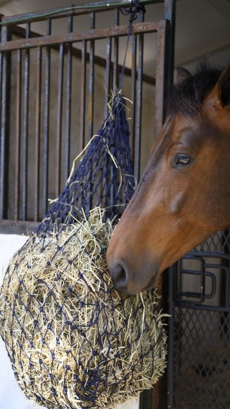Gatsby Slow Feed Hay Net - Image 9