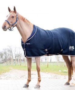 B Vertigo Theo Thermo Wool/Acrylic Stable Blanket