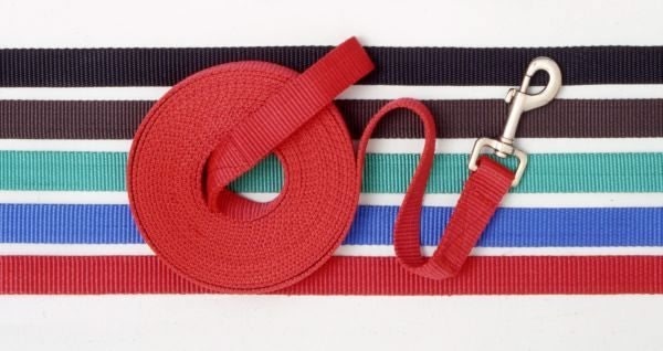 6 Pack Nylon Web Lunge Line