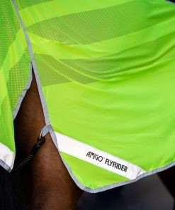 Alternative view of Amigo Flyrider