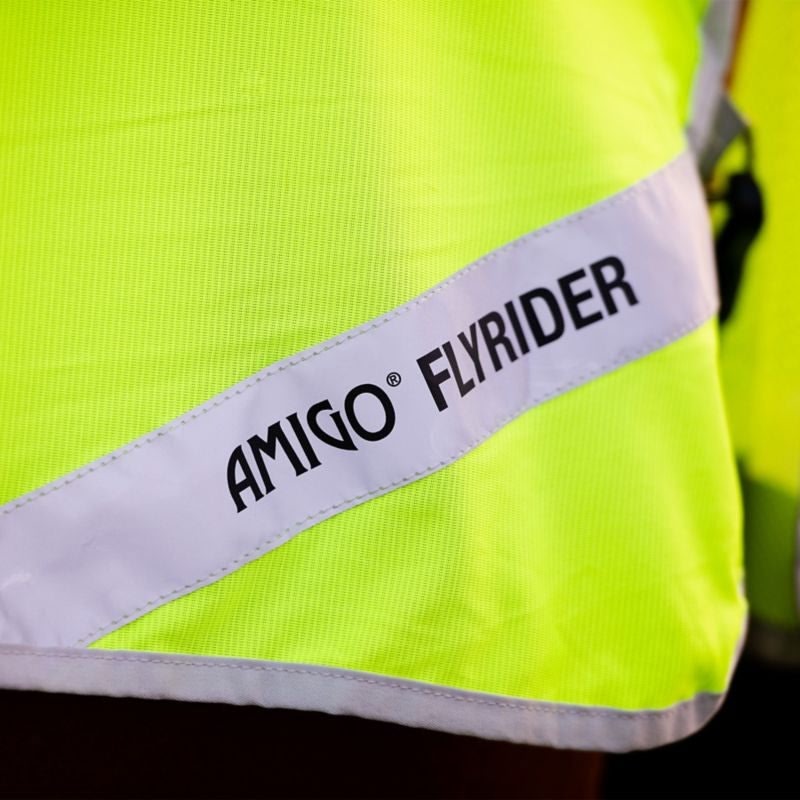 Amigo Flyrider - Image 3