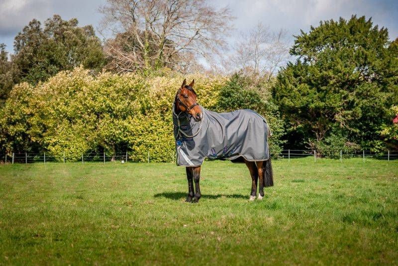 Amigo Bravo 12 Plus Sheet Pony