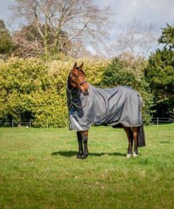 Alternative view of Amigo Bravo 12 Plus Sheet Pony