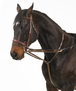 Camelot German Martingale Rein