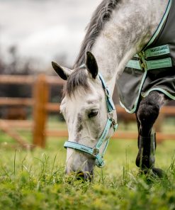 Alternative view of Horseware Fieldsafe Halter