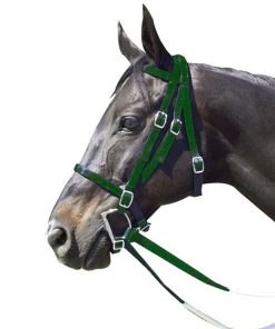 Alternative view of Intrepid Nylon Racing Bridle