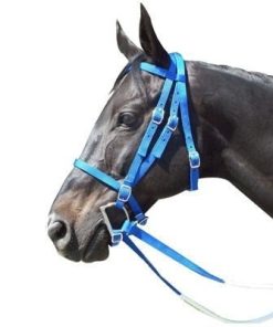 Intrepid Nylon Racing Bridle
