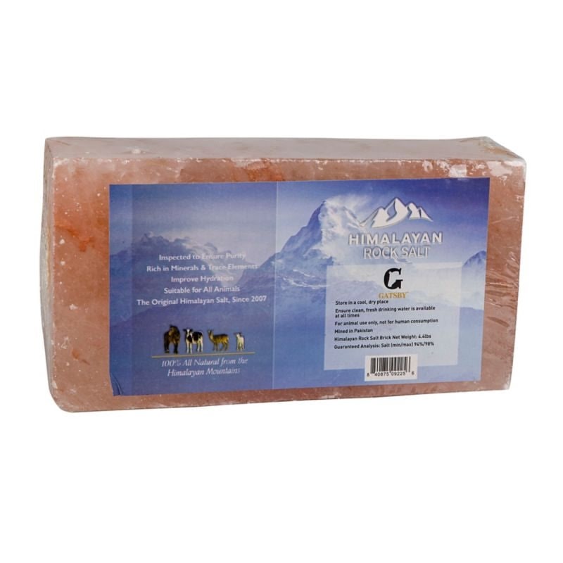 Gatsby Himalayan Salt Block - Image 3