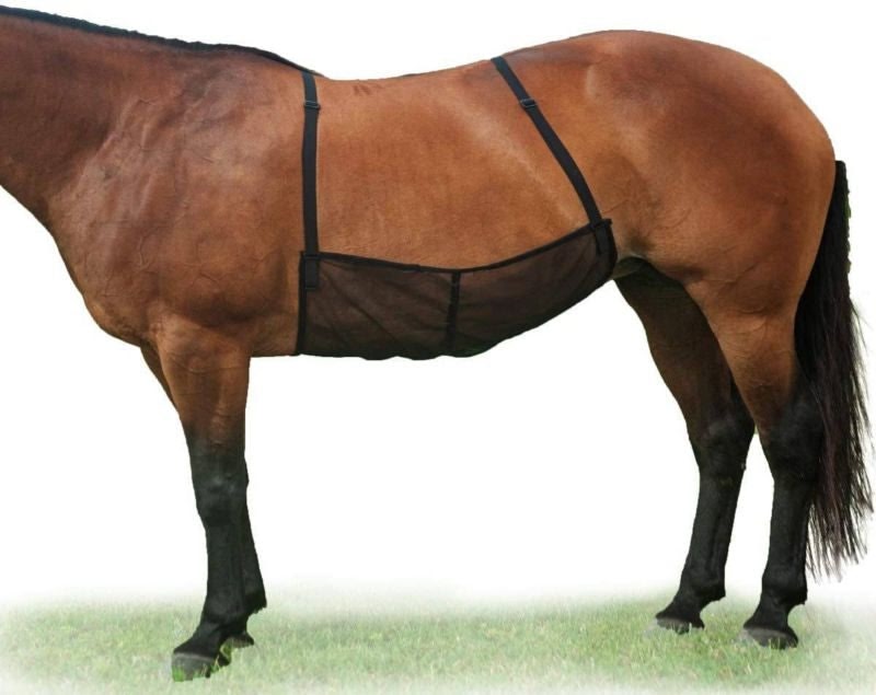 Cashel Quiet Ride Belly Guard Horse Fly Sheet Smal