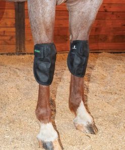 Classic Equine MagNTX Knee Wrap