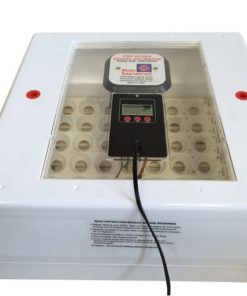 Digital Pro Series Circulated Air Incubator