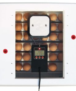Alternative view of Digital Pro Series Circulated Air Incubator