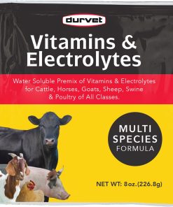 Alternative view of Durvet Vitamins And Electrolytes Concentrate