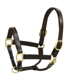 HK Americana Fancy Stitched Self-Padded Leather Ha