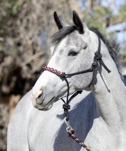 Kensington Clinician Rope Halter