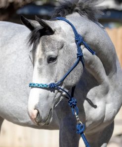 Alternative view of Kensington Clinician Rope Halter