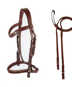 Alternative view of Arc de Triomphe Classique Bridle