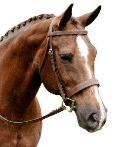 Arc de Triomphe Fox Hunt Bridle with Reins