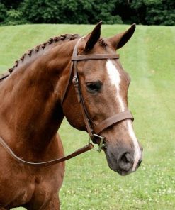 Alternative view of Arc de Triomphe Fox Hunt Bridle with Reins