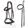 Arc de Triomphe Leon Dressage Bridle
