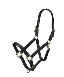 ARMA Nylon Halter Leather Hd Strap