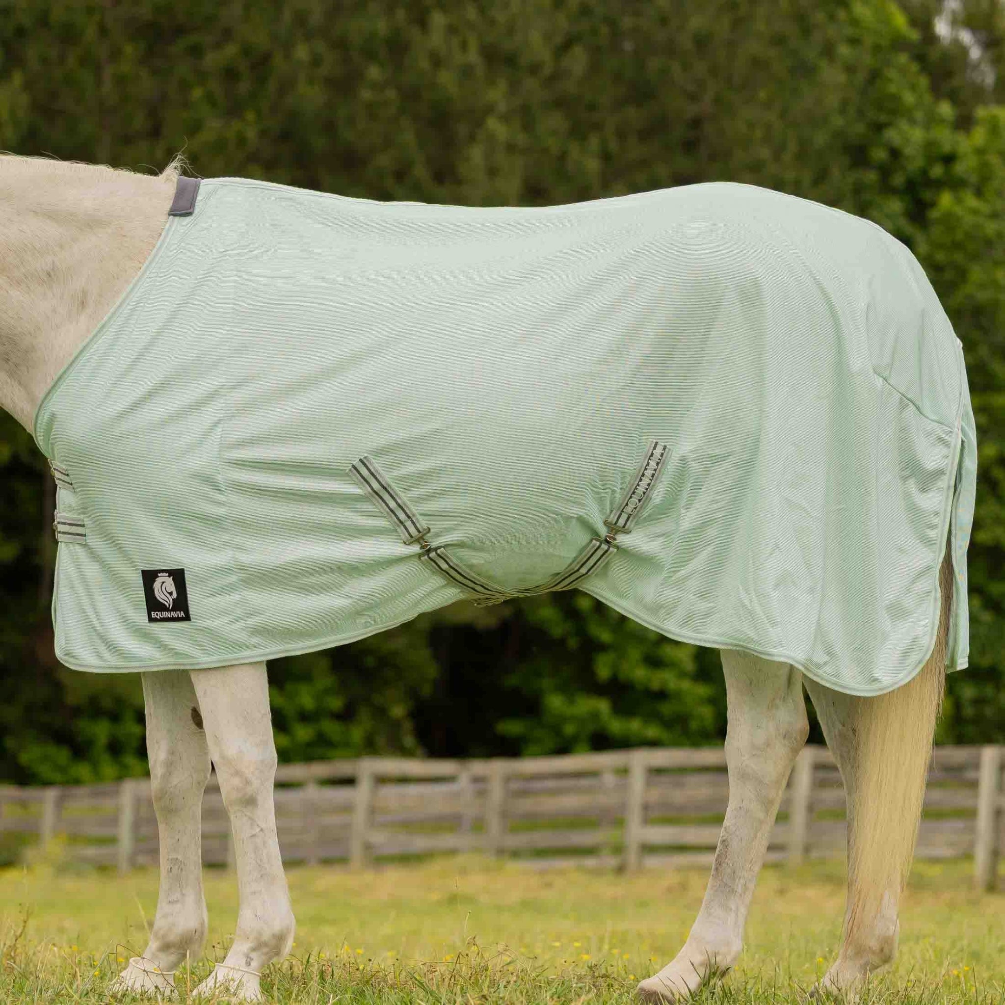 Equinavia Gard Fly Sheet - Image 9