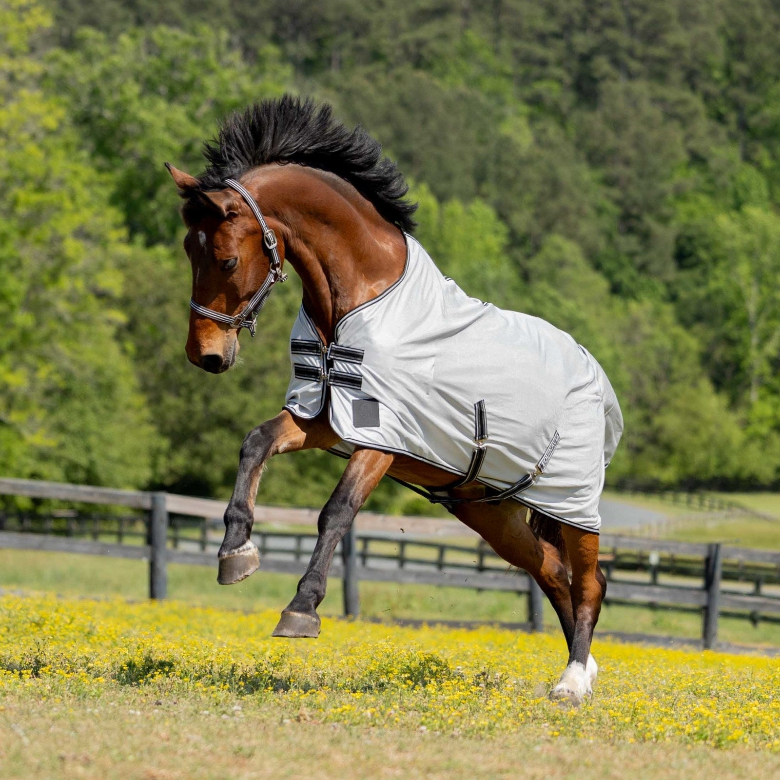 Equinavia Gard Fly Sheet - Image 5